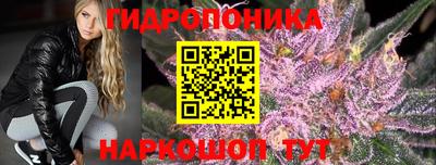сатива Краснодар